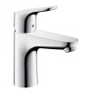 ��������� ��� �������� 100 Hansgrohe Focus 31607000 � �������� �������� Homedezign.ru